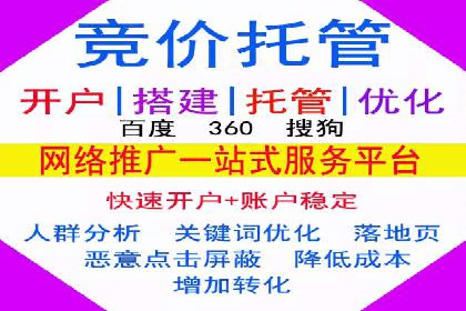 实战解析：SEM代运营成功案例分享